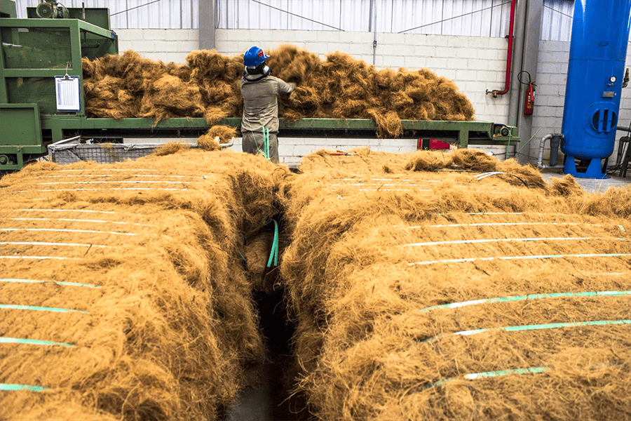 Behind the Scenes at PlantBest