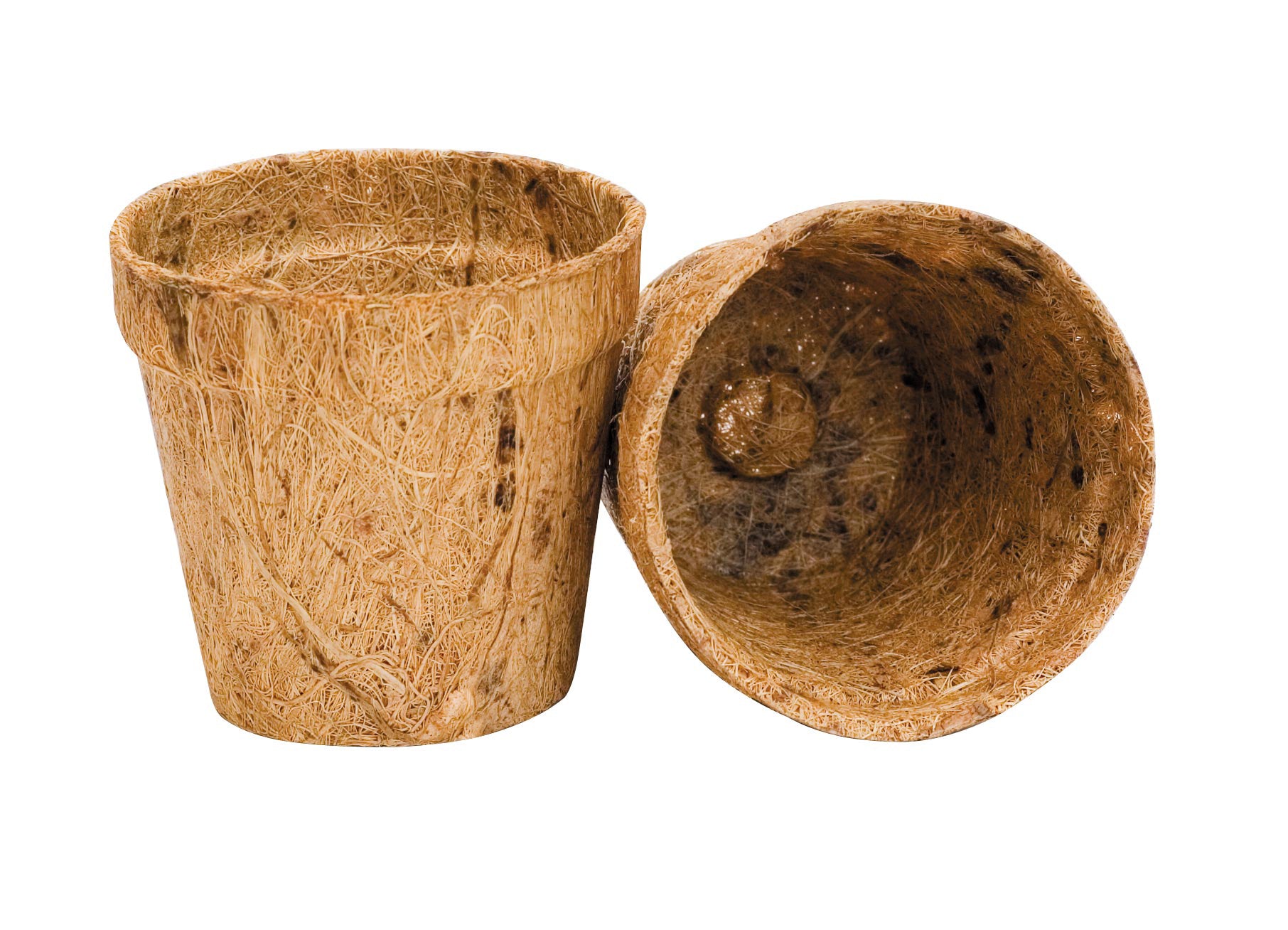 2.5” Round Coir Pot
