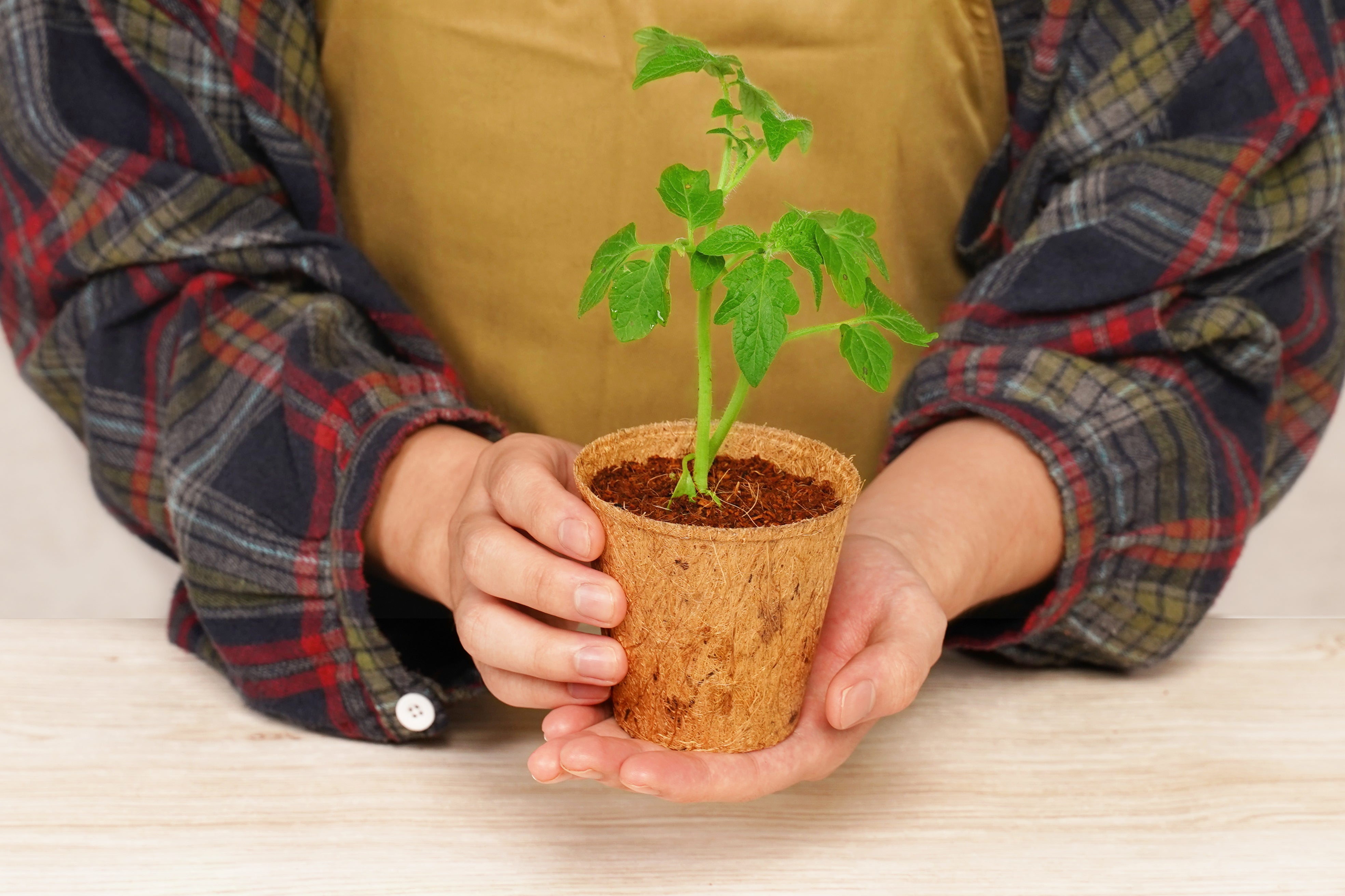 3.25" Round Coconut Coir Pot - 22 Pack
