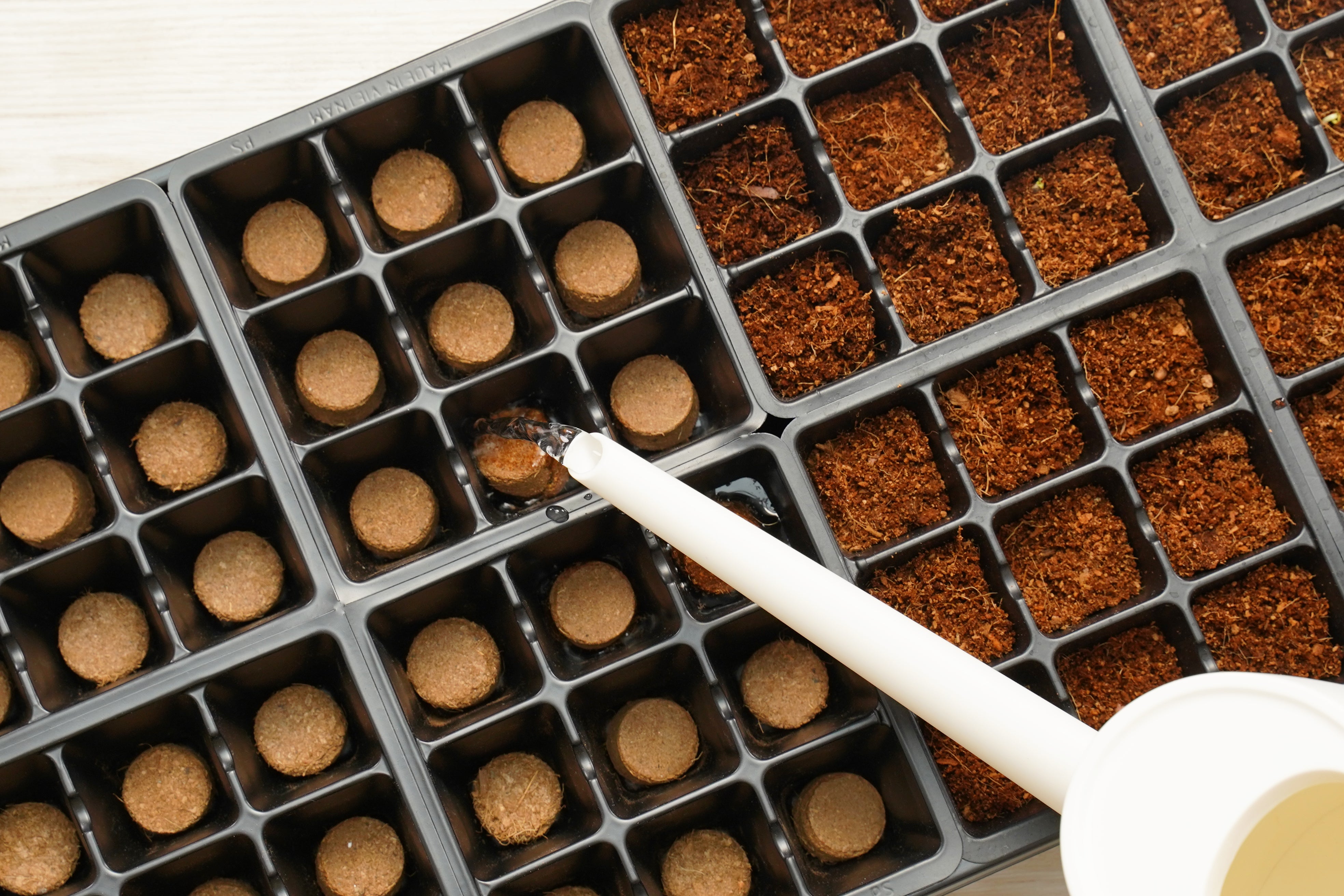 Premium 72 Cell Greenhouse Kit with Coconut Coir Growing Mix