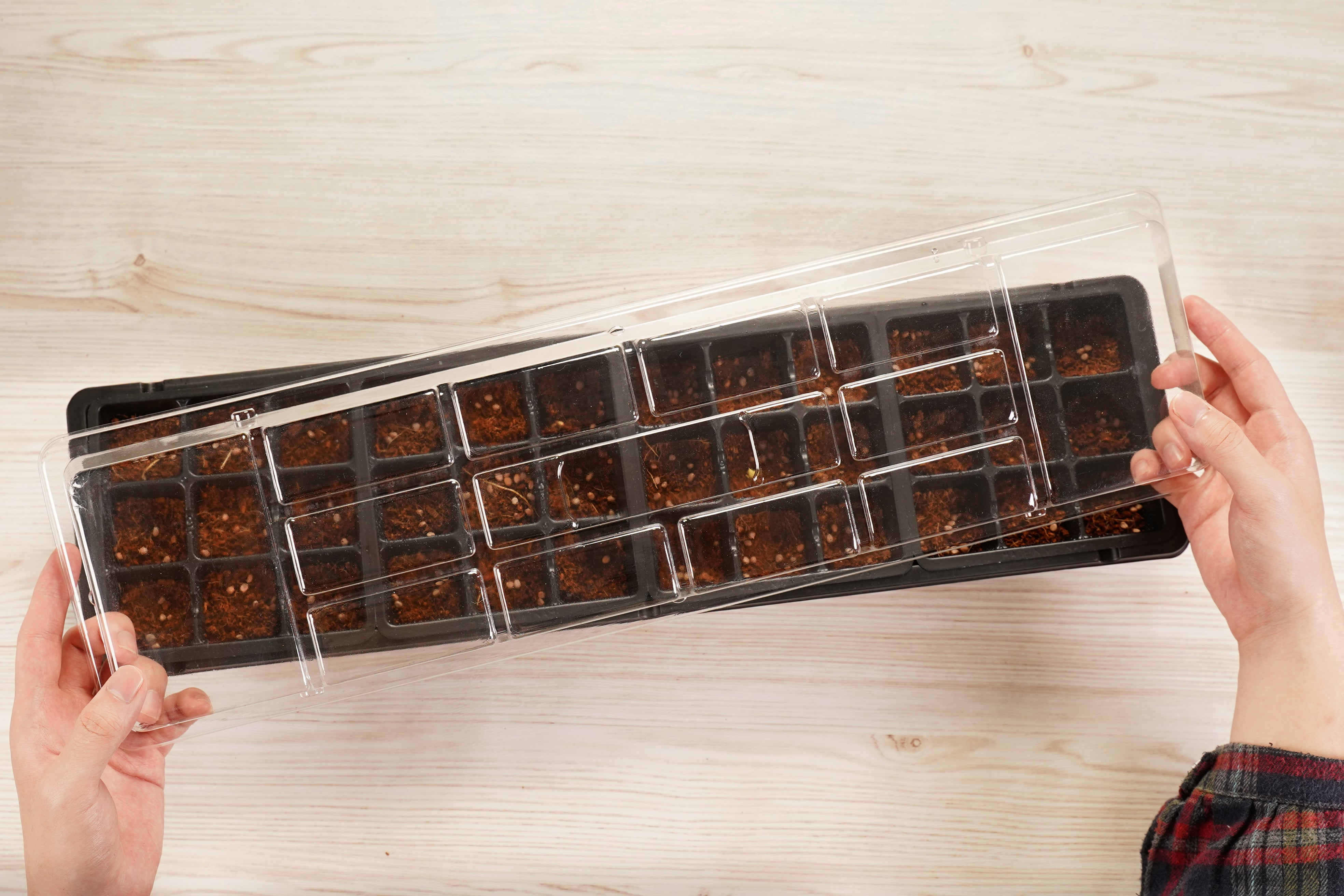 36 Cell Greenhouse Kit