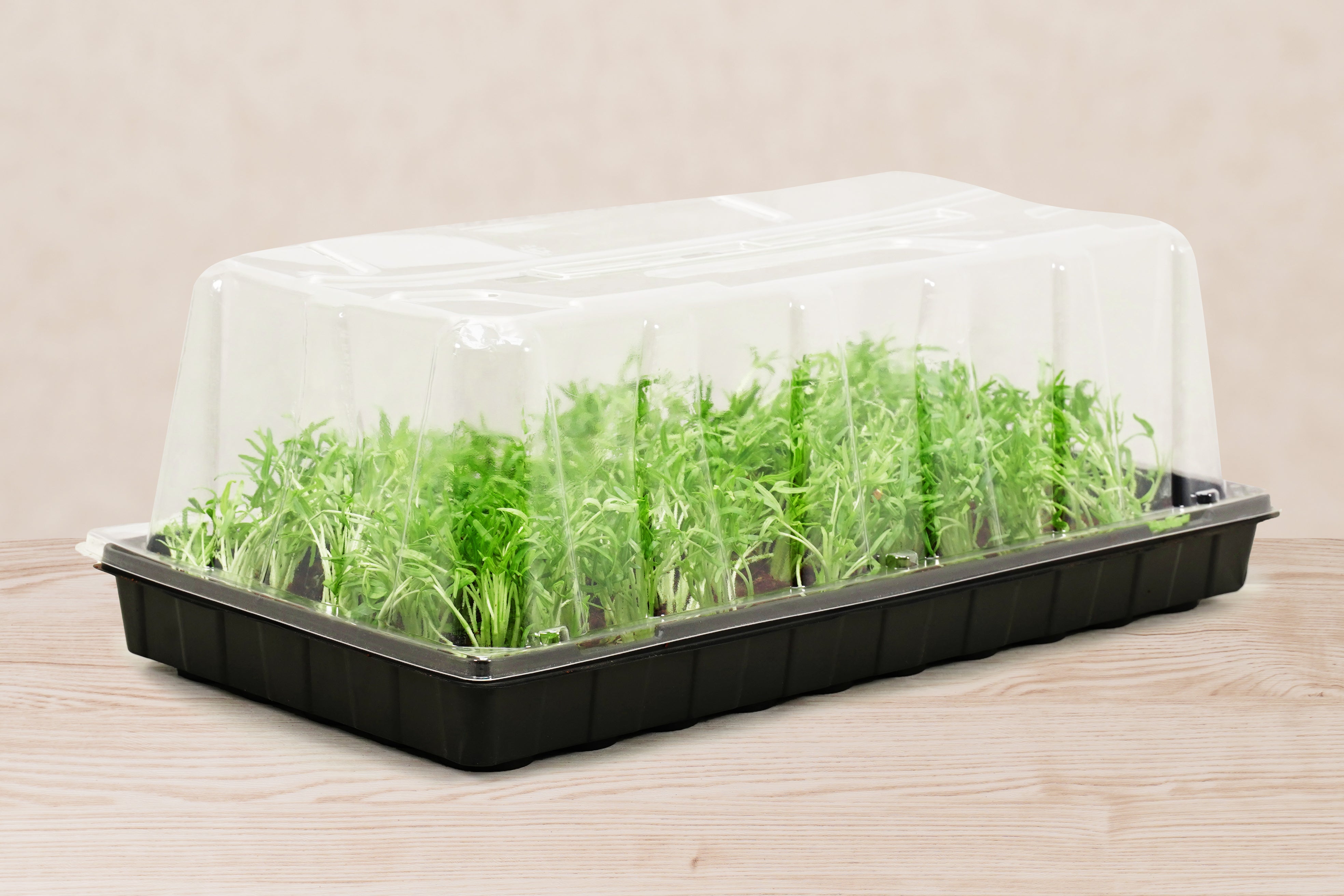 Greenhouse Humidity Dome