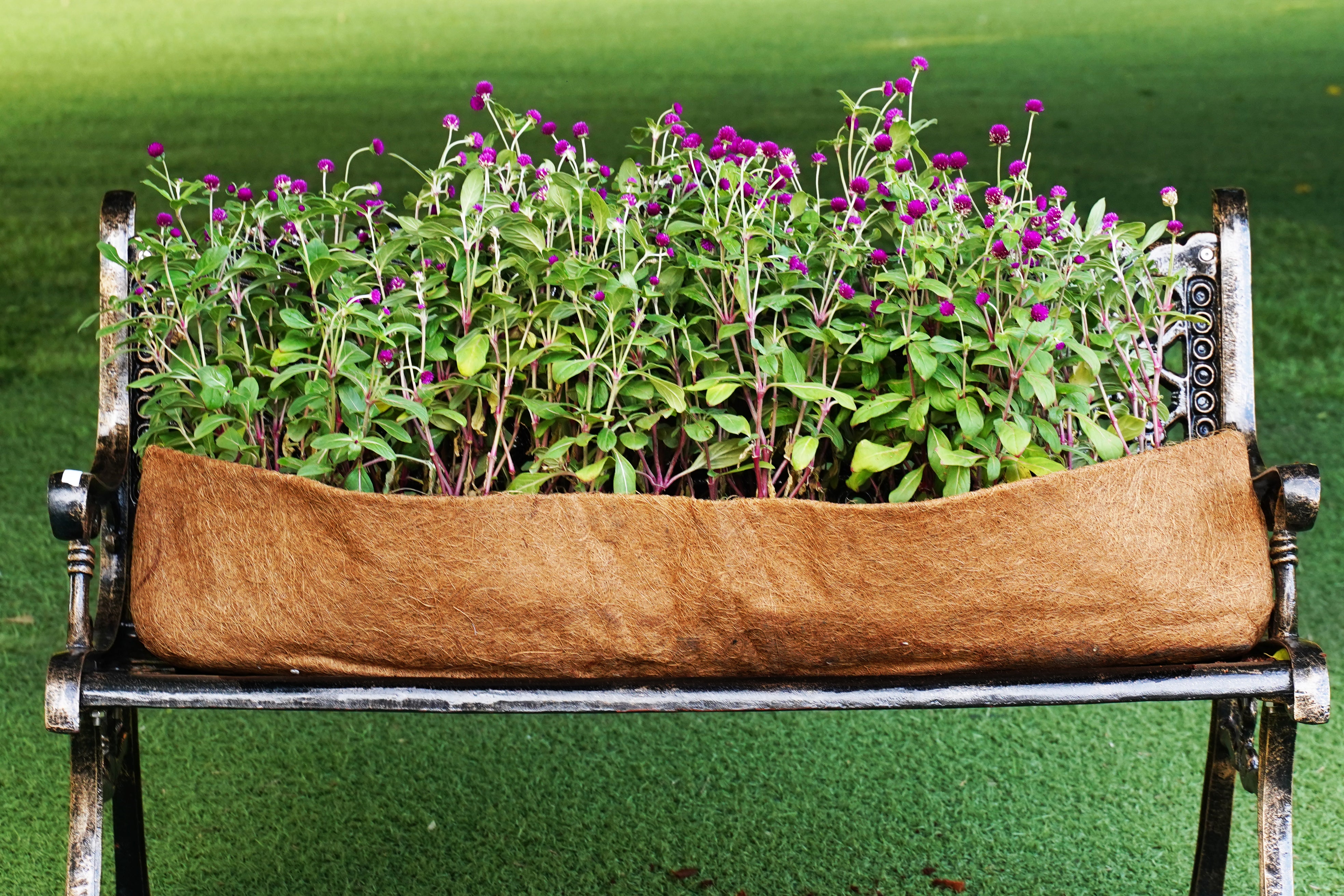Coconut Coir Trough Liner