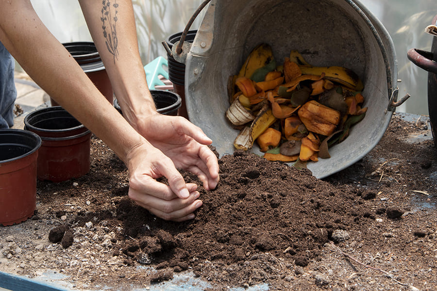 Guide to Choosing the Best Coco Coir for Your Mushroom Cultivation