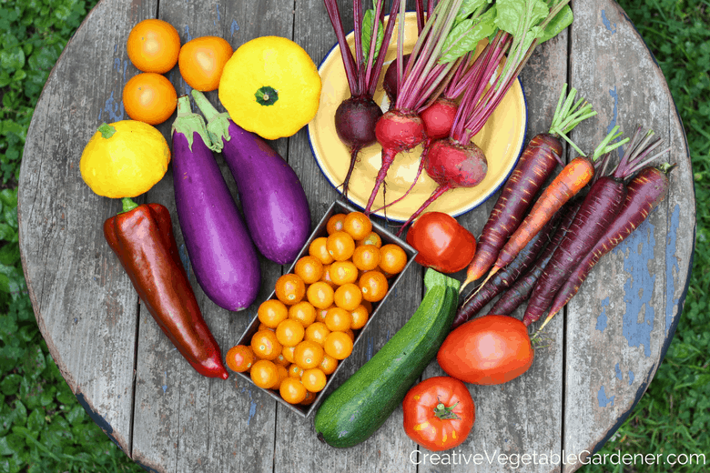 5 Vegetables You Can Still Plant in August — and How to Keep Them From Drying Out