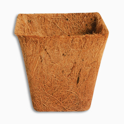Square Coconut Coir Pot