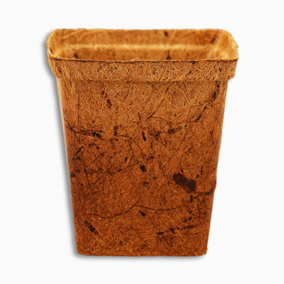 Square Coconut Coir Pot