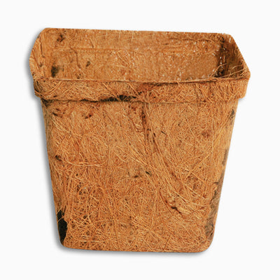 Square Coconut Coir Pot