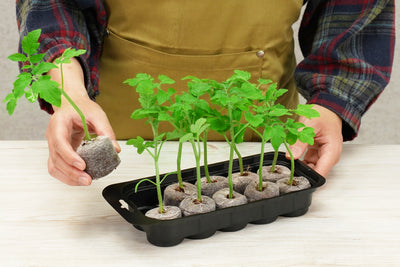 Pellet Greenhouse Kit