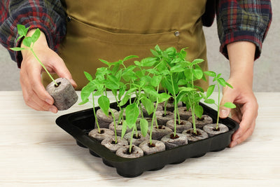 20 x 42mm Pellet Greenhouse Kit