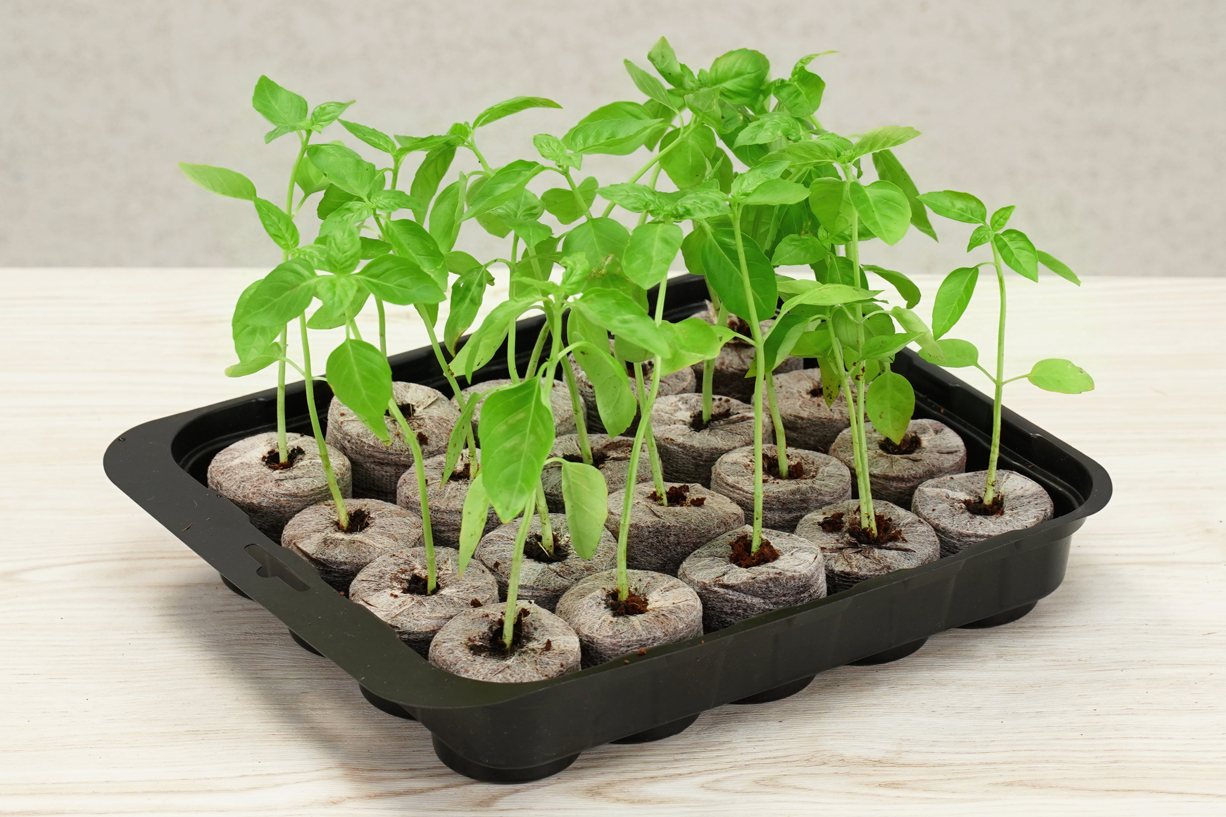 20 x 42mm Pellet Greenhouse Kit