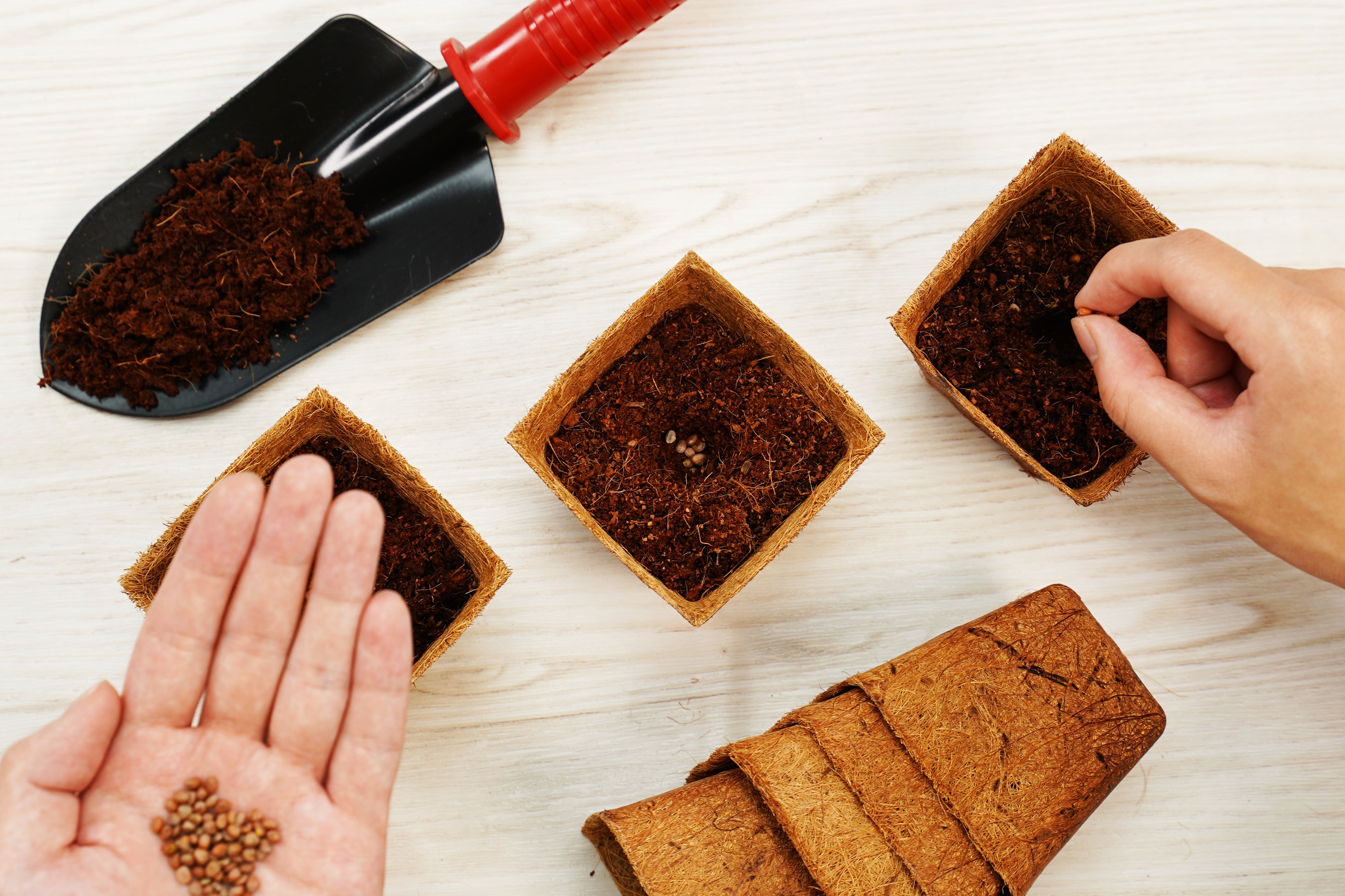 3.00" Square Coconut Coir Pot – 8 Pack