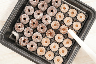 Premium Self-Watering Pellet Greenhouse Kit