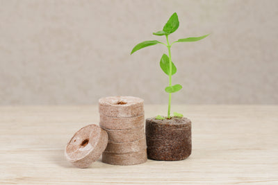 Premium Self-Watering Pellet Greenhouse Kit