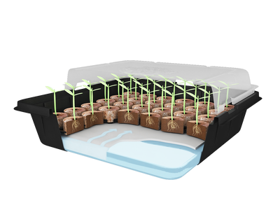 Premium Self-Watering Pellet Greenhouse Kit