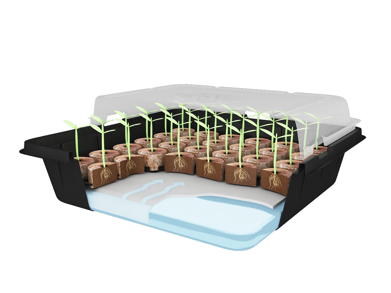 Premium 35 Pellet Self-Watering Greenhouse Kit