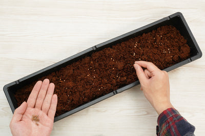 5”x20” Greenhouse Tray with UPC