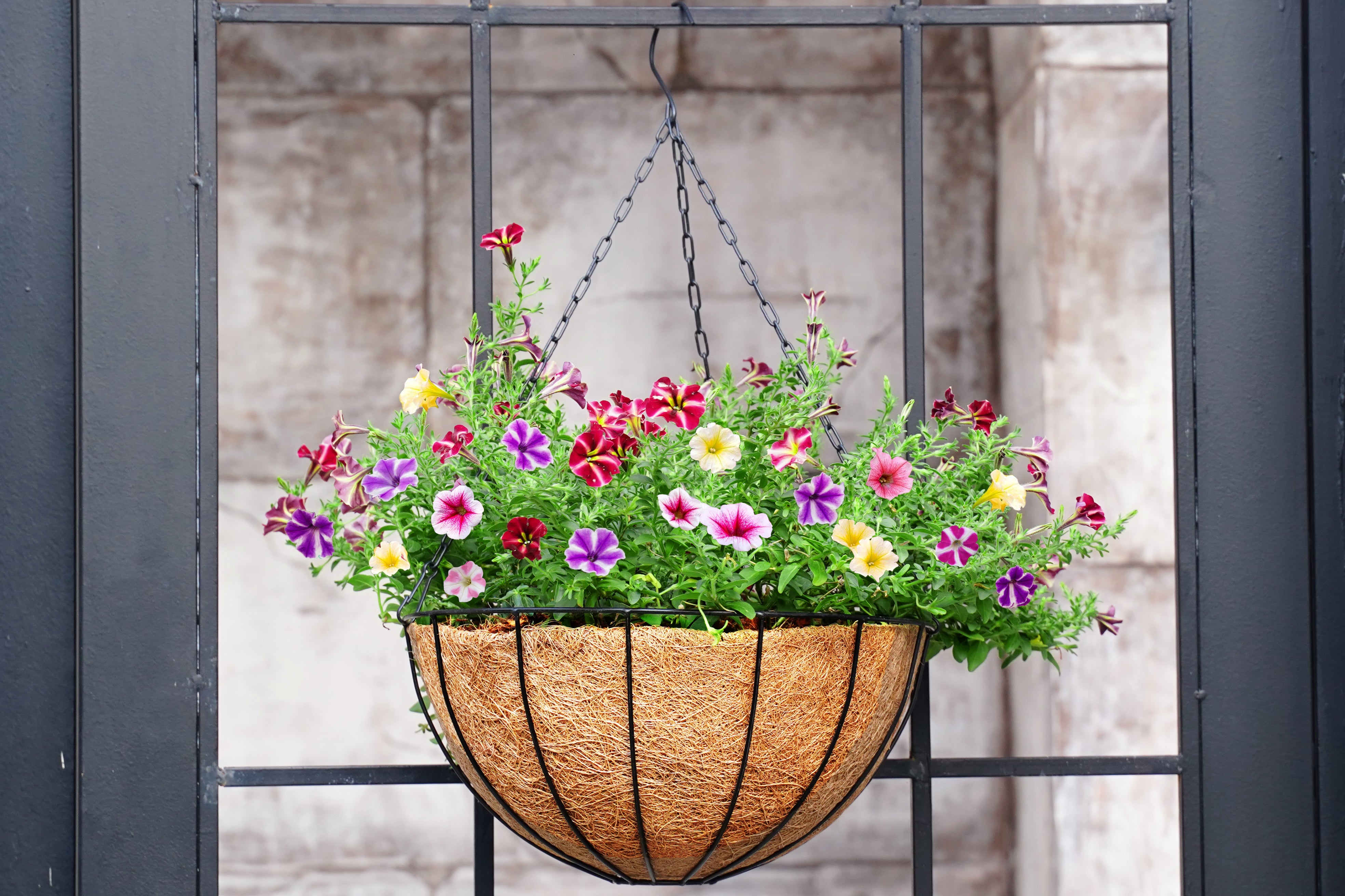 Coconut Coir Basket Liner