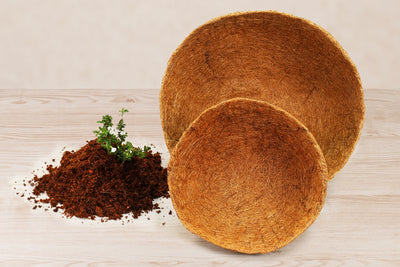 12"/30cm Coconut Coir Liner