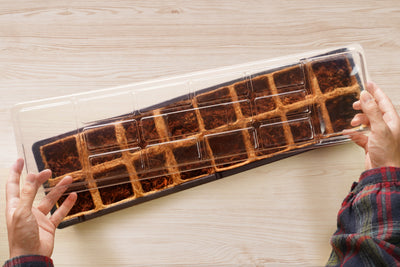 Coconut Coir Pot Greenhouse Kit