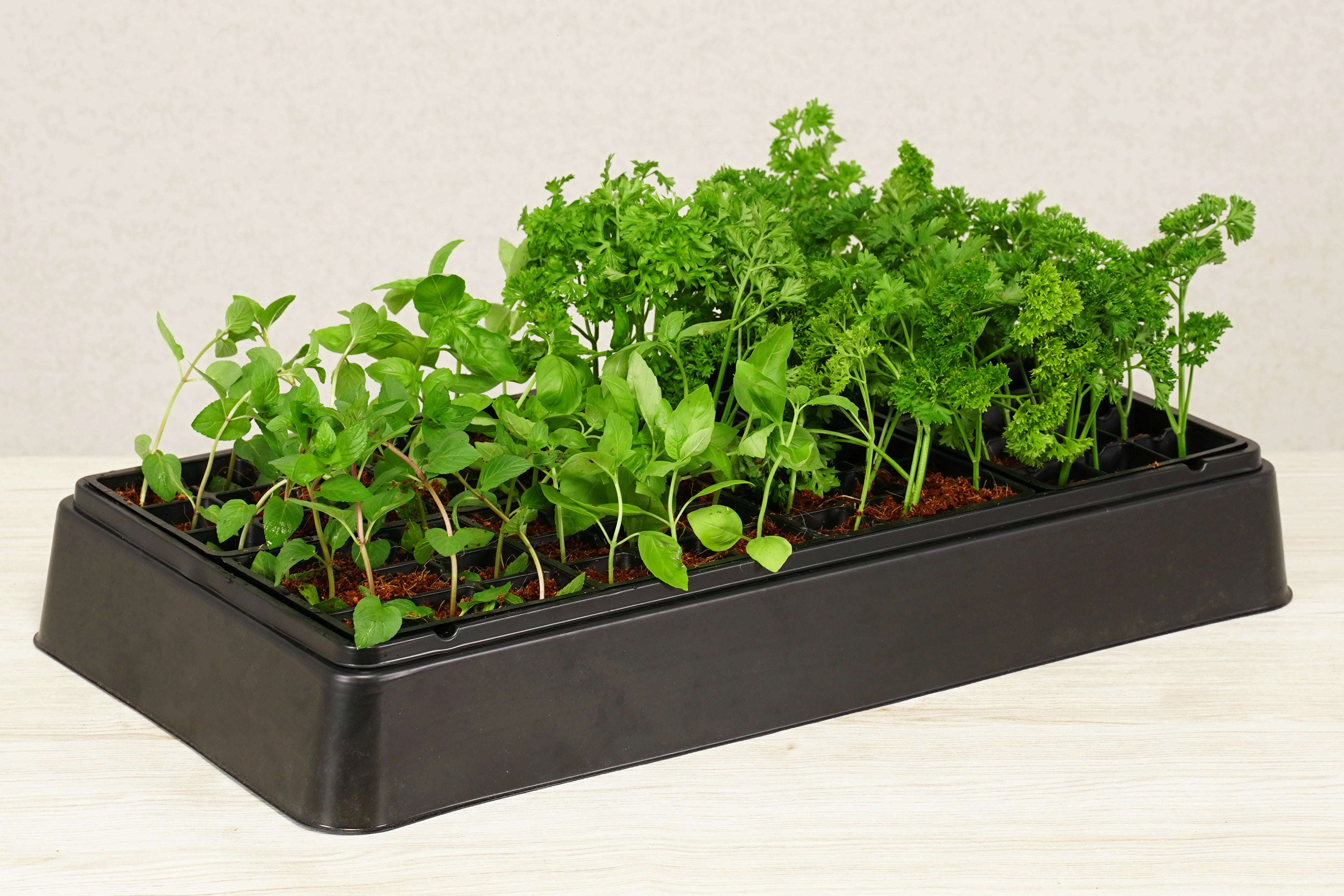 Heated Greenhouse Kit