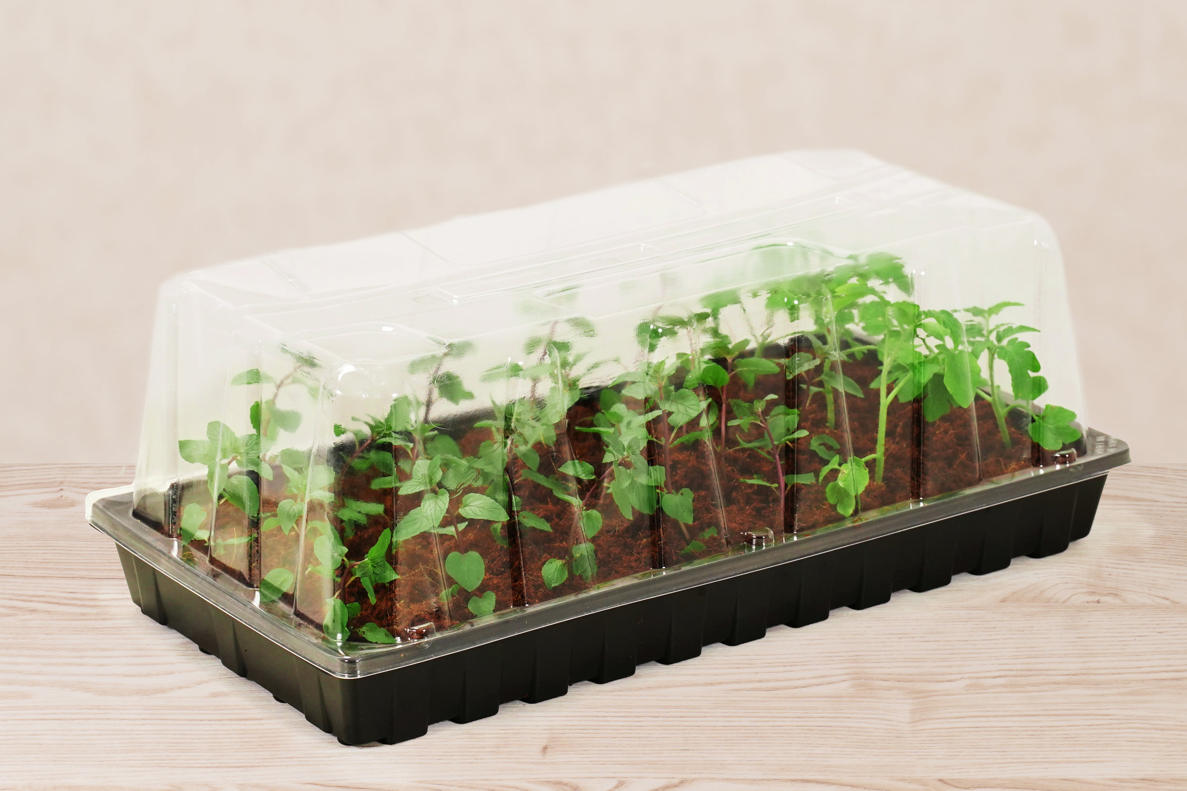 10”x20” Black Greenhouse Tray with UPC