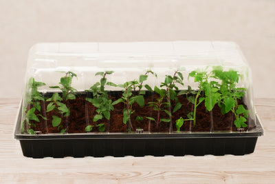 10”x20” Black Greenhouse Tray with UPC