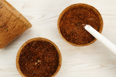 2.50" Round Coconut Coir Pot - 12 Pack