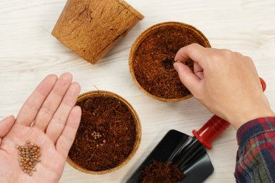 3.25" Round Coconut Coir Pot – 8 Pack