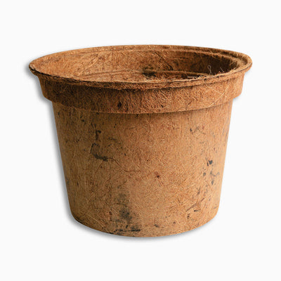 Grower Coir Nursery Pot