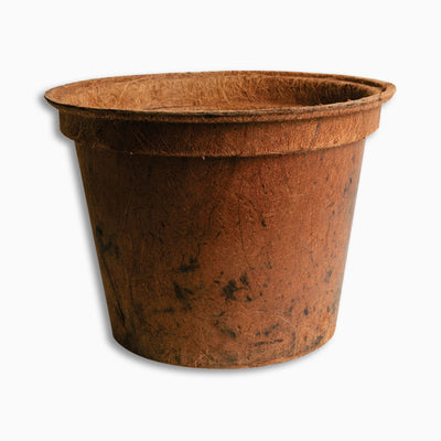 Grower Coir Nursery Pot